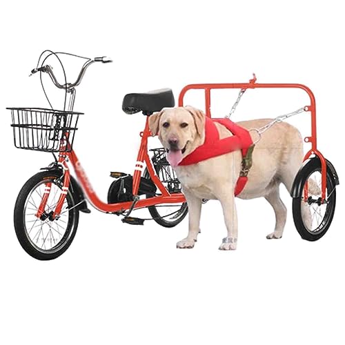 NOALED Dreirad für Erwachsene, 3-Rad-Fahrräder mit Einkaufskorb, für Damen und Herren, Leichter Fahrradanhänger für Spaziergänge mit Hunden, mobil, leicht von NOALED