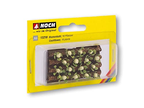 NOCH Blumenkohl, mit Miniatur Pflanzen, 16 Pflanzen à 3 x 6 cm für die Spurweite H0, perfekt zum Mini-Gardening und DIY NOCH Blumenkohl, mit Miniatur Pflanzen, 16 Pflanzen à 3 x 6 cm für die Spurweite H0, perfekt zum Mini-Gardening und DIY von NOCH
