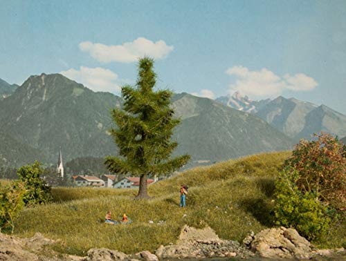 NOCH Fichte, realistischer Modellbau Baum, 12 cm hoch für Spurweiten H0, TT, N perfekt für Dioramen und Modelleisenbahnen NOCH Fichte, realistischer Modellbau Baum, 12 cm hoch für Spurweiten H0, TT, N perfekt für Dioramen und Modelleisenbahnen von NOCH