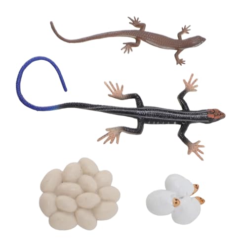 NOENNULL PVC Realistic Animal Life Cycle Toy Figuren Sandbox Accessoires Lernzyklusspielzeug für Kinder Spaß Lernerfahrung von NOENNULL