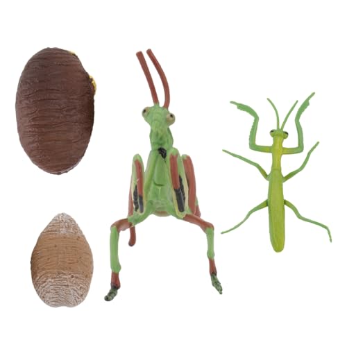 NOLITOY Realistisches Gottesanbeterin Figuren Pädagogisches Insekten Modell Lernspielzeug Kompaktes Langlebiges Material Bunte Tierfiguren NOLITOY Realistisches Gottesanbeterin Figuren Pädagogisches Insekten Modell Lernspielzeug Kompaktes Langlebiges Material Bunte Tierfiguren von NOLITOY