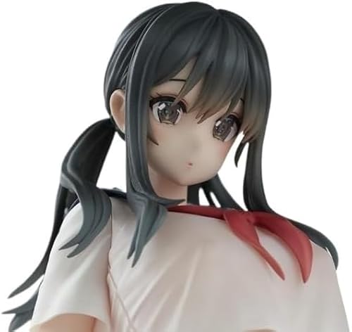 NOPQRZTU 60 Vorhang Ecchi Figuren Hentai Figur Action Anime Figur Mädchen Wohnkultur Sammelfigur Sammlung 1/6 von NOPQRZTU