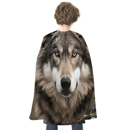 NQHJT Umhang für Damen und Herren, Lmage of Wolf im Schnee, Halloween-Umhang, wendbarer Umhang, Halloween-Kostüme, Erwachsenen-Umhang für Cosplay-Party von NQHJT