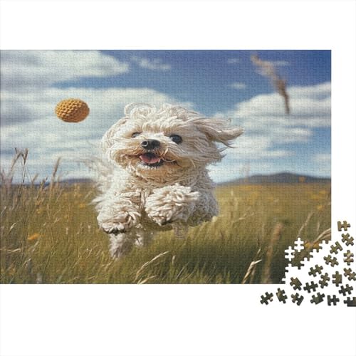 West Highland White Terrier Jigsaw Puzzles 1000-Piece Intellectual Challenge Unique Gift Wood Eco-Friendly Materials Home DecoRatteion for Kids 1000pcs (75x50cm) von NQHXLRUDC