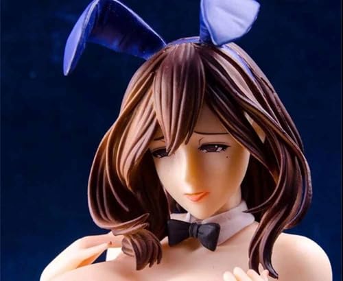 NSFWFIGUCI Ecchi-Figur, Hentai-Figur, Anime-Mädchen-Figur, abnehmbare Kleidung, süßes Puppendekor, Modell, Cartoon-Anime-Mädchen-Kollektion, 41 cm(Hard Chest,Hiromi Suguri) von NSFWFIGUCI