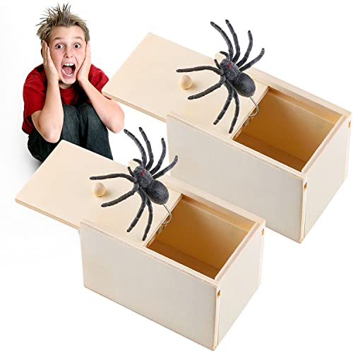 NTGRTY Scare Box 2 Stücke Scherzartikel Spinne in Box Spider Box Prank Scherzartikel Spinne Spinne Box Streich Spider Scare Box für Kinder Erwachsene Party Favors Gifts von NTGRTY