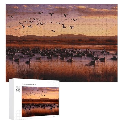 Puzzle für Erwachsene, 300 Teile Puzzle mit Buchstaben auf der Rückseite, Holzpuzzle Bosque Del Apache Wildlife Fertiges Puzzle Herausforderndes Puzzle perfekt für Spieleabende von NTVOWPZO