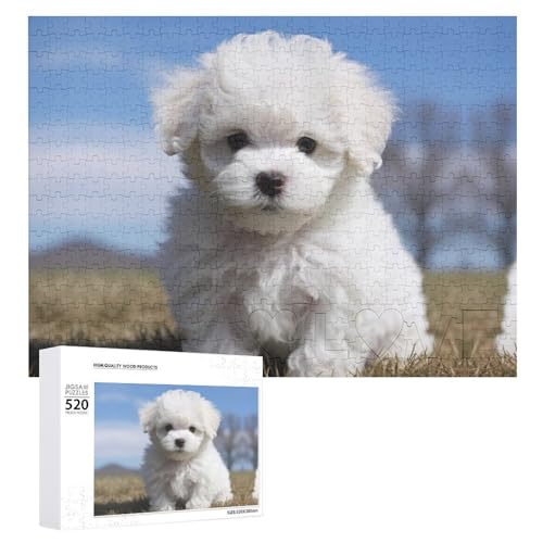 Puzzle für Erwachsene, Bichon Frisé, Hund, herausforderndes Spiel, Puzzle mit Buchstaben auf der Rückseite, personalisiertes Puzzle, perfekt für Spielabende, Heimdekoration, Geschenk von NTVOWPZO