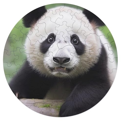 Puzzle für Erwachsene, personalisiertes Bild, Panda, Bambus-Stern, individuelles Holzpuzzle für Familie, Geburtstag, Hochzeit, Spielabende, Geschenke, Tier-Airen-Form-Puzzle, 68 Teile von NTVOWPZO