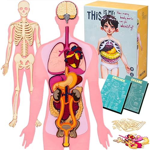 Anatomie Skelett anatomie Modell Kinder Anatomy der menschliche körper Skelett lebensgroß anatomie Skelett anatomie lebensgroß Montessori Spielzeug ab 5 Jahre lernspiele ab 5 Jahre von NUESTRO HILO CONDUCTOR