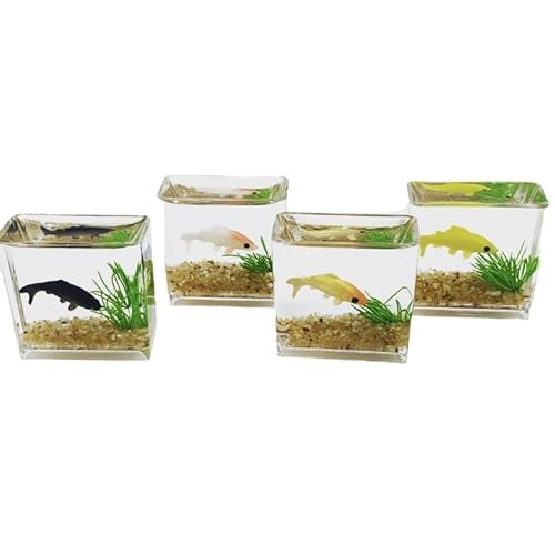 NURCIX Einzigartiges Mini/Runde Aquarium Miniatur Aquariumteich Aus Glas Für Puppenhaus Oder Modelldekoration Exquisite Detail Puppenhaus Dekoration von NURCIX