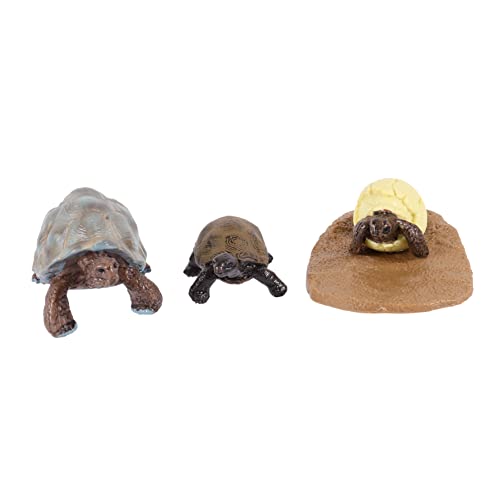 NUSITOU 1 Set/4pcs Kunststoff Tierstatues Schildkröte Wachstumszyklus Spielzeug Kinder Kognitive Toys von NUSITOU