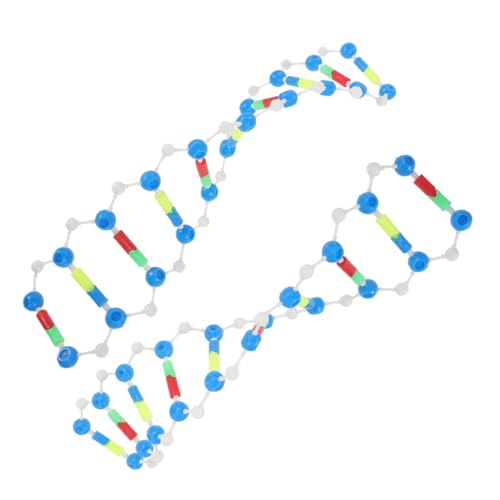 NUSITOU 2-teiliges DNA-doppelhelix-Modell Komponenten Für Wissenschaftliche Lernspielzeuge Molekularmodellierungsset Genaue Komponenten Menschlicher Gene von NUSITOU