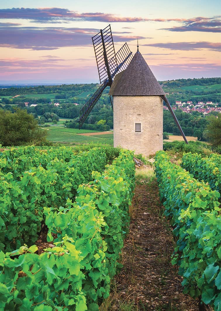 Nathan Moulin Sorine - Vignoble de Santenay - Bourgogne 1000 Teile Puzzle Nathan-00898 von Nathan