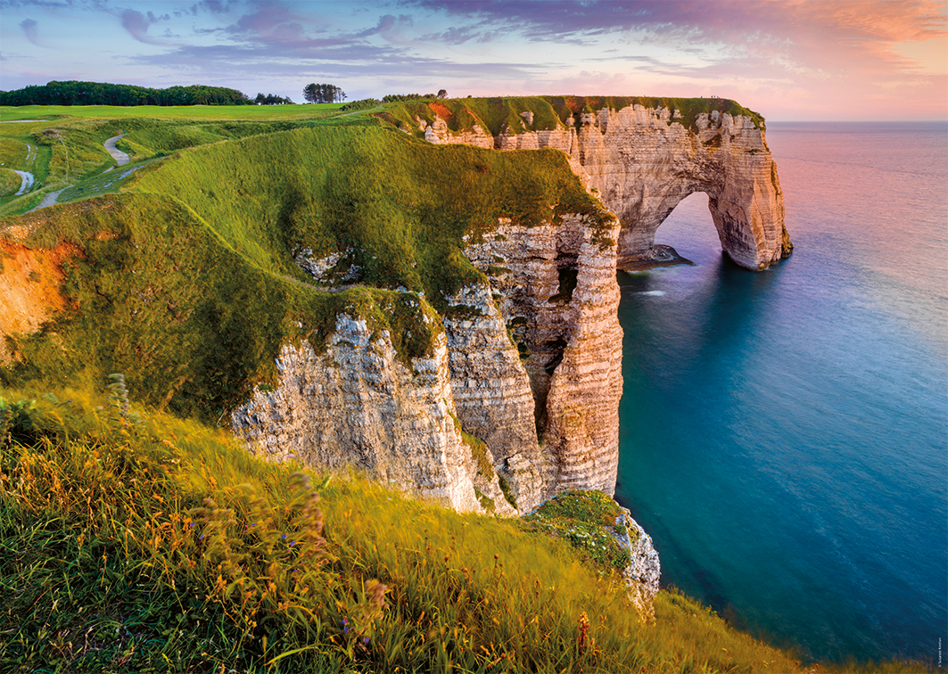 Nathan Wurzeln und Flügel - Blick auf die Klippen von Étretat 1000 Teile Puzzle Nathan-00901 von Nathan