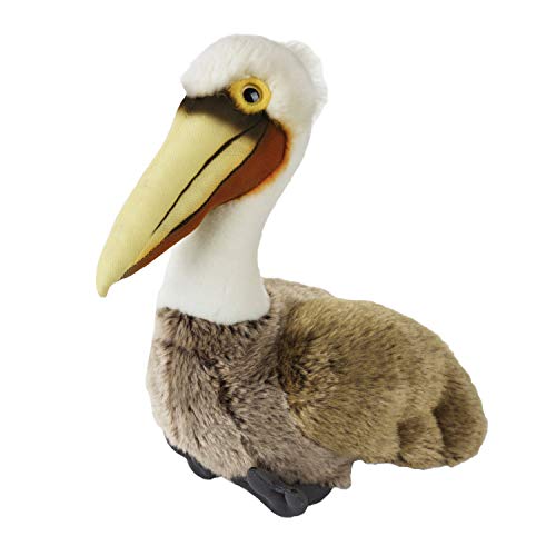 Lelly lelly770804 30 cm NGS braun Pelican Plüschtiere Lelly lelly770804 30 cm NGS braun Pelican Plüschtiere von National Geographic