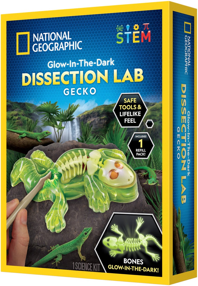 National Geographic Gecko Sezier-Laborset National Geographic Gecko Sezier-Laborset von National Geographic