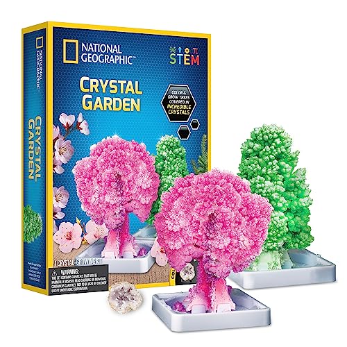 National Geographic Kristall-Garten-Anzucht-Set für Kinder – pädagogische Wissenschafts-Sets für Kinder ab 8 Jahren, wachsen echte Rosenquarz-Kristallbäume, MINT-Geschenke für Jungen und Mädchen ab 8 National Geographic Kristall-Garten-Anzucht-Set für Kinder – pädagogische Wissenschafts-Sets für Kinder ab 8 Jahren, wachsen echte Rosenquarz-Kristallbäume, MINT-Geschenke für Jungen und Mädchen ab 8 von National Geographic
