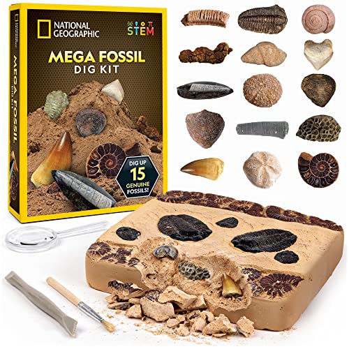 National Geographic Mega Fossil Dig Kit - Ausgrabung von 15 echten prähistorischen Fossilien, Kinder-Fossilien-Set, pädagogisches Spielzeug, großartiges (exklusiv bei Amazon) von BlueMarble