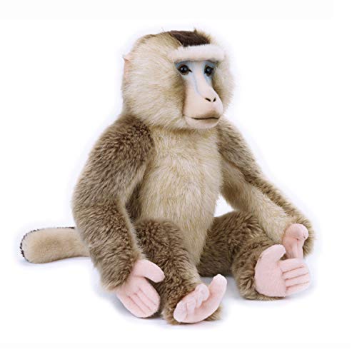 Venturelli EJ-8004332708162 Macaco Nemestrino NGS Tier Wald Peluches Spielzeug 982, Mehrfarbig von National Geographic