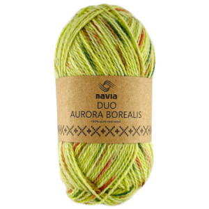 Navia Duo Garn 271 Aurora Borealis Sommer von Navia