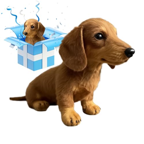 Dackel Kuscheltier, Dackel Plüschtier Groß, Niedlich Dack-EL Stofftier, Emotionaler Spielhund, Plüschfigur Mini Stofftier In Einer Kleinen Box Für Kinder Baby Mädchen Junge Dackel Kuscheltier, Dackel Plüschtier Groß, Niedlich Dack-EL Stofftier, Emotionaler Spielhund, Plüschfigur Mini Stofftier In Einer Kleinen Box Für Kinder Baby Mädchen Junge von Nbbwwu