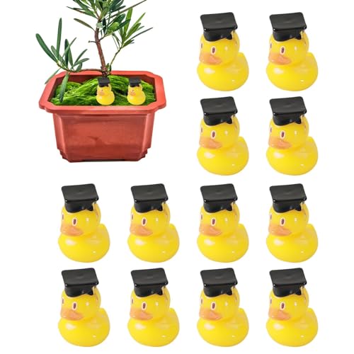 Nbbwwu Mini-Abschluss-Enten, Ente mit Grad-Mütze | 12 Stück Harz-Entenauto-Ornamente für den Abschluss - Winzige Harz-Enten-Dekorationen für Pool-Float-Partygeschenke, Dekor, von Nbbwwu