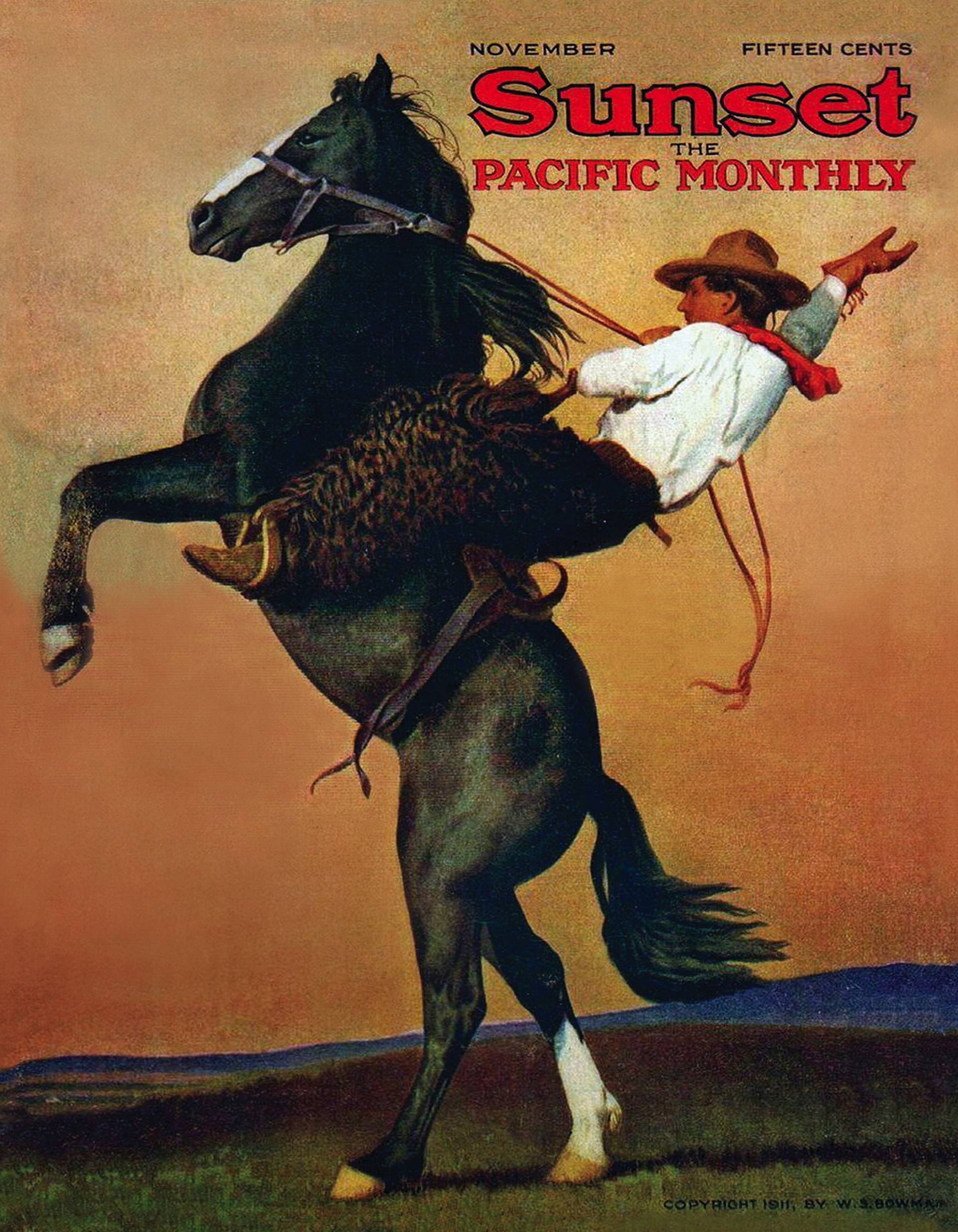 New York Puzzle Company Bucking Bronco 100 Teile Puzzle New-York-Puzzle-SU2012 New York Puzzle Company Bucking Bronco 100 Teile Puzzle New-York-Puzzle-SU2012 von New York Puzzle Company