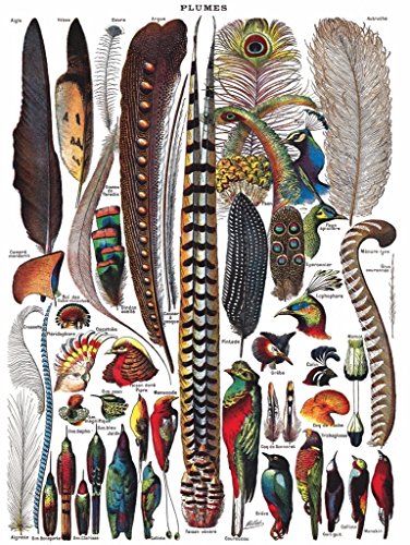 New York Puzzle Company Feathers - Plumes New York Puzzle Company Feathers - Plumes von New York Puzzle Company