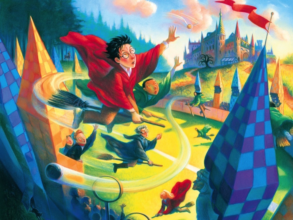 New York Puzzle Company Harry Potter - Quidditch 1000 Teile Puzzle New-York-Puzzle-HP1361 New York Puzzle Company Harry Potter - Quidditch 1000 Teile Puzzle New-York-Puzzle-HP1361 von New York Puzzle Company