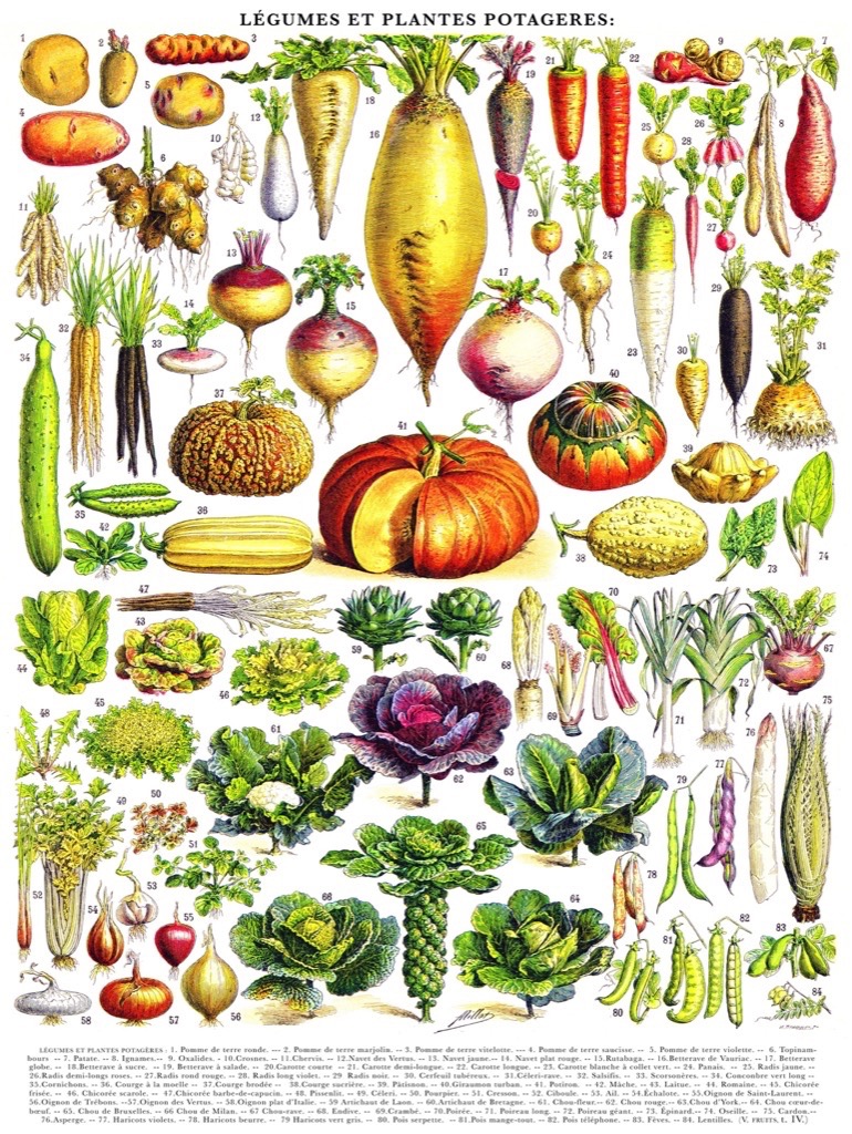 New York Puzzle Company Vegetables - Légumes 1000 Teile Puzzle New-York-Puzzle-PD635 New York Puzzle Company Vegetables - Légumes 1000 Teile Puzzle New-York-Puzzle-PD635 von New York Puzzle Company
