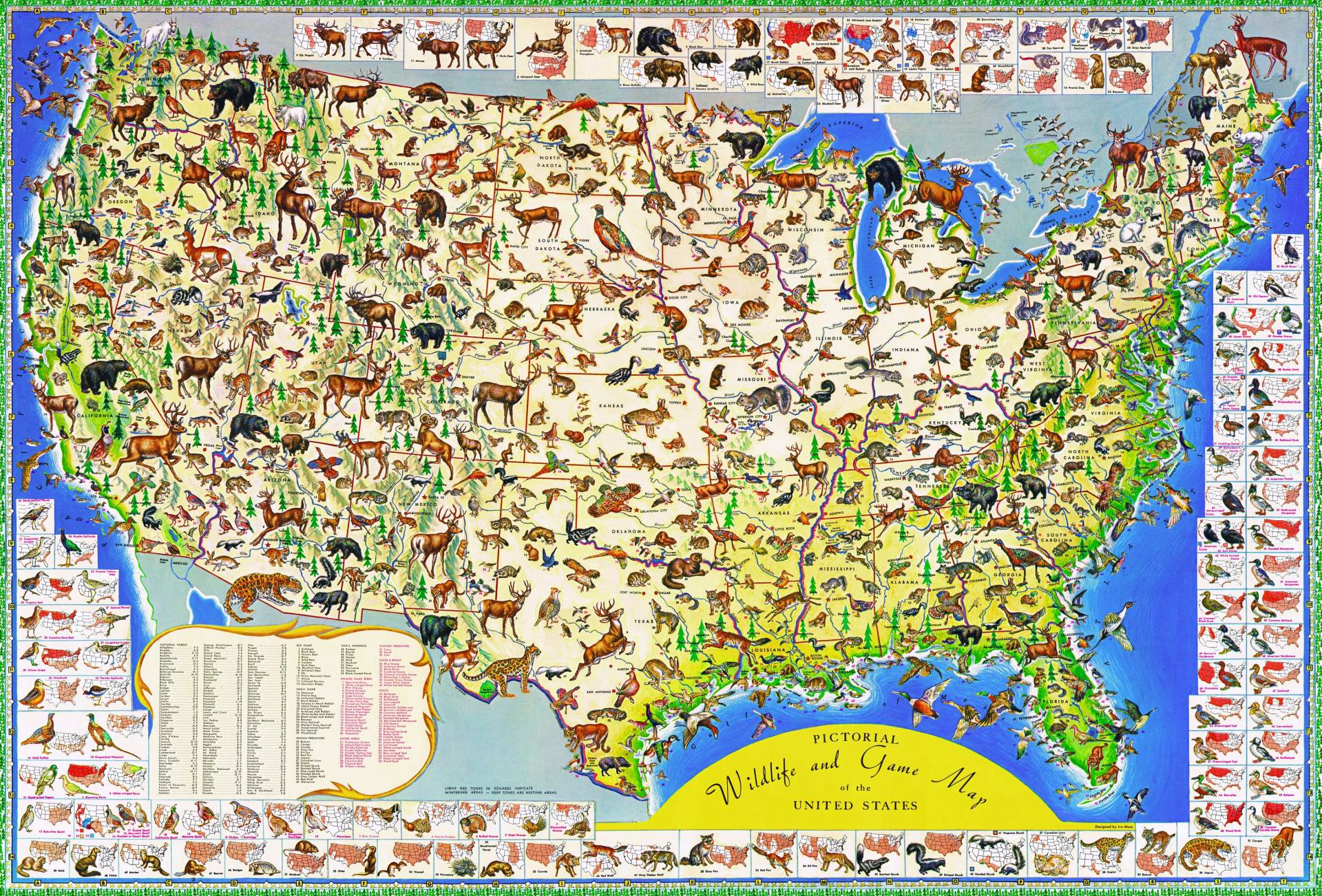 New York Puzzle Company Wildlife Map 2000 Teile Puzzle New-York-Puzzle-PD632 New York Puzzle Company Wildlife Map 2000 Teile Puzzle New-York-Puzzle-PD632 von New York Puzzle Company