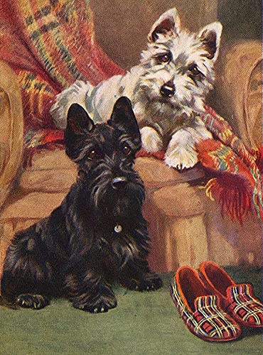 Puzzles Scottish Terrier, Westie und Hausschuhe, Holzpuzzles für Erwachsene, 1000 Teile, Kinder-Puzzlespielzeug, Geschenk, Familie, 74 x 49 cm von Nichpedr