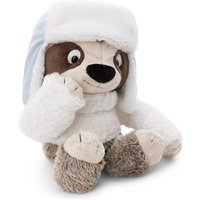 NICI 62435 Kuscheltier Faultier Izzy Icetumbler mit Mütze NICI 62435 Kuscheltier Faultier Izzy Icetumbler mit Mütze von Nici