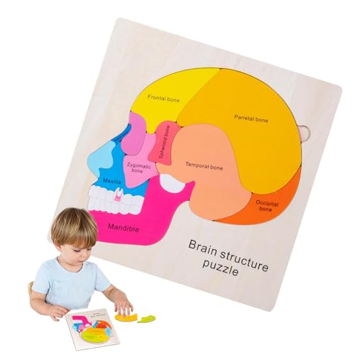 Niesel Menschliche Anatomie für Kinder, Puzzle zum menschlichen Körper | Mehrschichtige Anatomie-Struktur-Puzzlespielzeuge,Pädagogische, interaktive Frühentwicklungsmaterialien für von Niesel