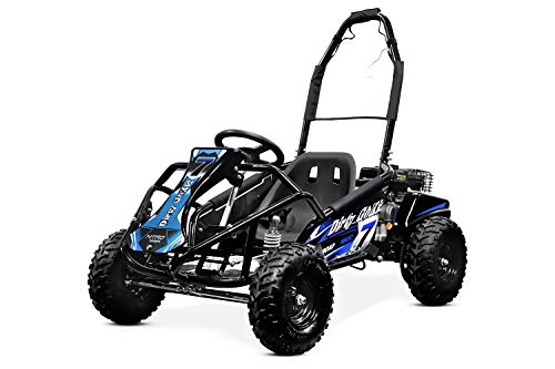 Nitro Motors GoKid Dirty 98cc Pullstart 6 Zoll Offroad Kinderbuggy, Farbe:Blau von Nitro Motors