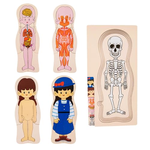 Holzpuzzle „Menschlicher Körper“, Puzzle „Menschlicher Körper“ Für Kinder - Pädagogische Anatomie-Puzzle | Lern-Anatomie-Puzzle, Skelett-Spielzeug, Modell-Puzzle Für Den Menschlichen Körper, von Nixiara