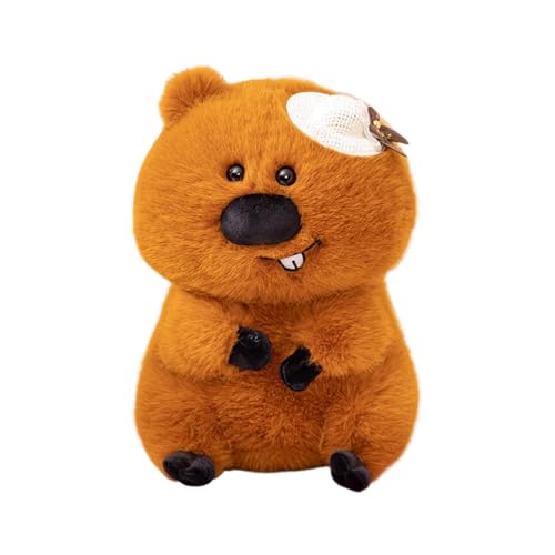 Nixiara Plüschtier, Cartoon, Wurfkissen, weich, aus Plüsch, flauschige Puppen, exquisit, bequem, bequem | Cartoon-Kissen für Familie Freunde Kollegen Männer Frauen Nixiara Plüschtier, Cartoon, Wurfkissen, weich, aus Plüsch, flauschige Puppen, exquisit, bequem, bequem | Cartoon-Kissen für Familie Freunde Kollegen Männer Frauen von Nixiara