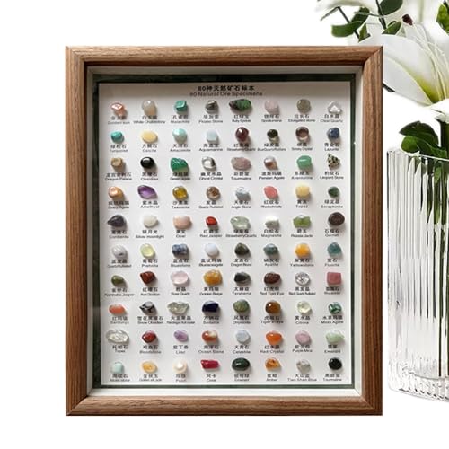 Mineral Identification Kit, 80x Mineral Specimens Raw Gemstones, Classic Rough Crystal Collection in Wooden Frame, Educational Geology Set for Kids, Women, and Men von Nkmujil