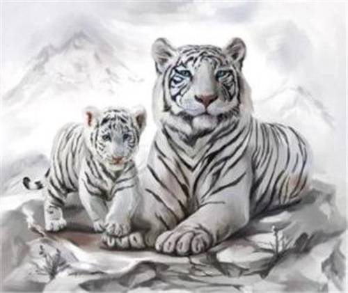 Vedes Diamond Painting Weiße Tigermama mit Jungtier 40x30cm 6037-40031 von Vedes