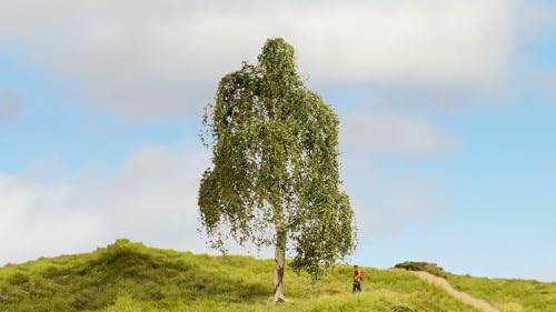 NOCH® Hängebirke, Modellbau Baum, 18 cm hoch, perfekt für Spurweiten H0, TT, N, Z sowie Dioramenbau, Basteln und DIY von Noch