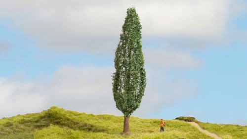 NOCH® Pappel, Modellbaum im Grünen, 18 cm hoch für die Spurweiten H0, TT, N, Z geeignet für Dioramen und Miniaturwelten von Noch