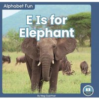 E Is for Elephant von North Star Editions