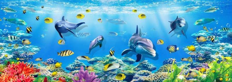 Nova Puzzle Aquarium 1000 Teile Puzzle Nova-Puzzle-40004 von Nova Puzzle