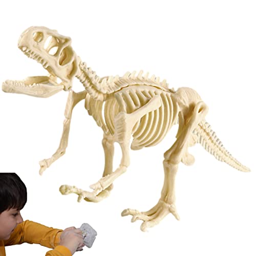 Dinosaurier Fossil Kit, Dinosaurier Fossil archäologische Ausgrabung Spielzeug für Kinder Erwachsene, Realistisches Dinosaurier-Modell pädagogisches Kinderspielzeug Geburtstag für Kinder Novent von Novent