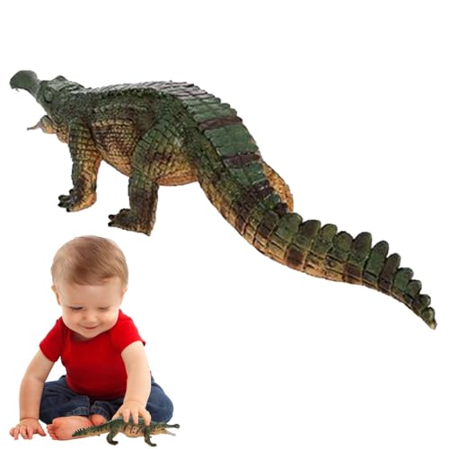 Simuliertes Krokodil-Modell,Realistische Alligator-Sammlungsfiguren - Realistische Alligator-Figuren Sammlung Modell Wissenschaft Pädagogische Requisiten Spielzeug Desktop-Dekoration von Novgorod