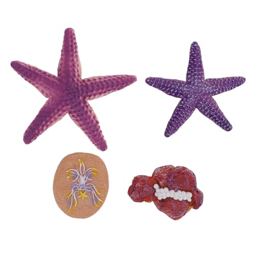 Nurnesy 4er-Pack Seestern-Figuren – Realistische Seestern-Ornamente für Strand-Dekoration | Lernspielzeug für Kinder ab 3 Jahren – Geeignet für und Mädchen von Nurnesy