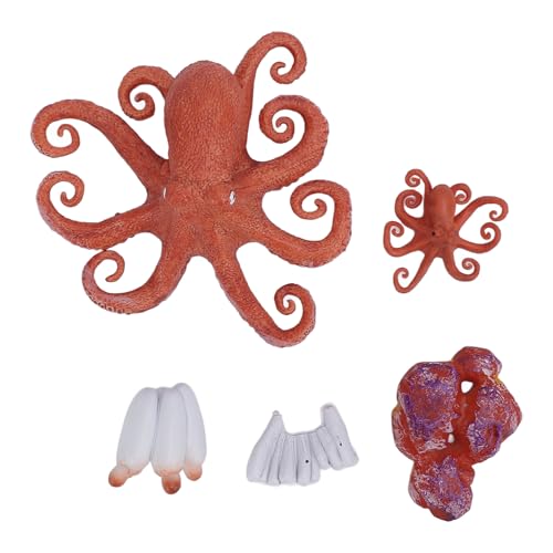 Nurnesy 5Pcs Pädagogisches Octopus Figurine Set-Realistisches Meertier Spielzeug Zum Erlernen des Lebenszyklus von Kraken-Geeignet für die Heim-und Schulbildung von Nurnesy