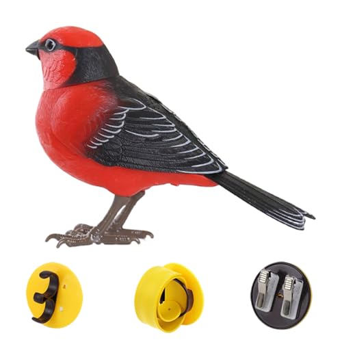 Nuyhgtr Sprechender Vogel, Elektrischer Singvogel, Realistischer Sprechender Elektronischer Schreibtisch Haustier Für Sensorisches Spiel Geburtstag Zimmer Deko Nuyhgtr Sprechender Vogel, Elektrischer Singvogel, Realistischer Sprechender Elektronischer Schreibtisch Haustier Für Sensorisches Spiel Geburtstag Zimmer Deko von Nuyhgtr