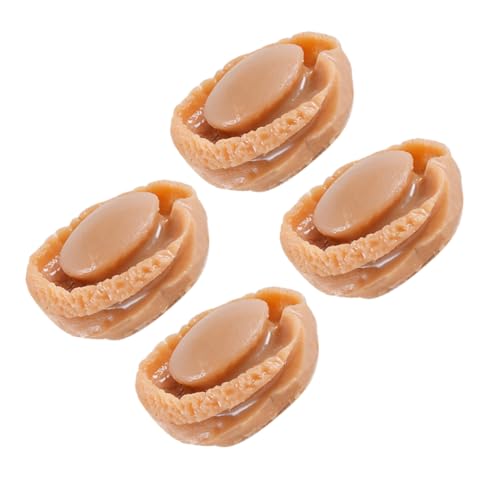 OATIPHO 4 Stück Simulierte Mini-Abalone interaktives Interactive Toys Decor realistische Babypuppe Schwimmbad dekorative Fake-Food-Requisite Mini-Küchenszenendekor Plastik Brown von OATIPHO